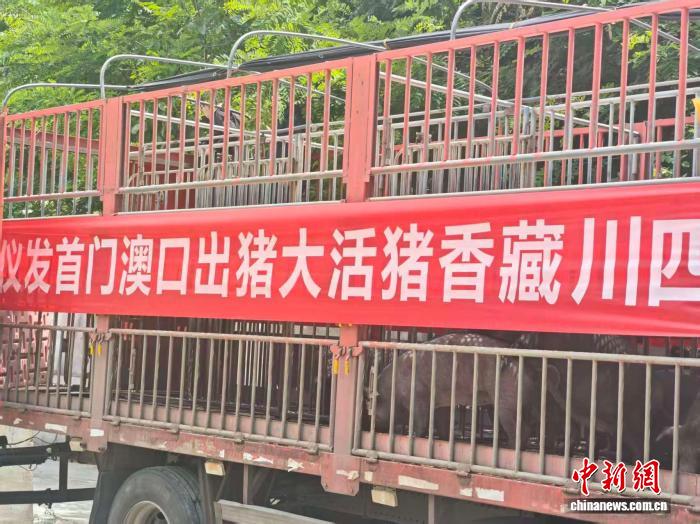 九游游戏动态：2026年热门趋势解析 - 九游