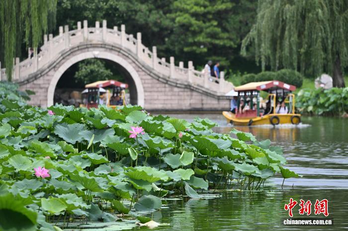 九游游戏动态：2026年热门趋势解析 - 九游
